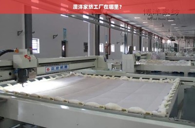 澳洋家紡工廠地理位置與家居用品概述