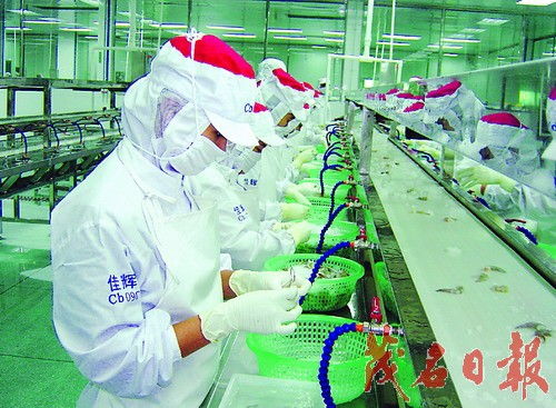 工業(yè)立縣 建設粵西經濟強縣 海產品加工產業(yè)的戰(zhàn)略引擎