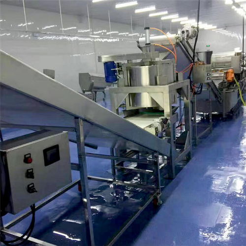 海產品氣泡翻滾式清洗機廠家多重優(yōu)惠，品質保障，長期有效